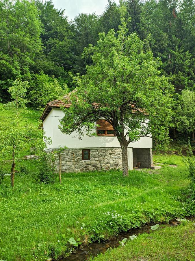 Farmstead Green Haven Mojkovac Exterior photo