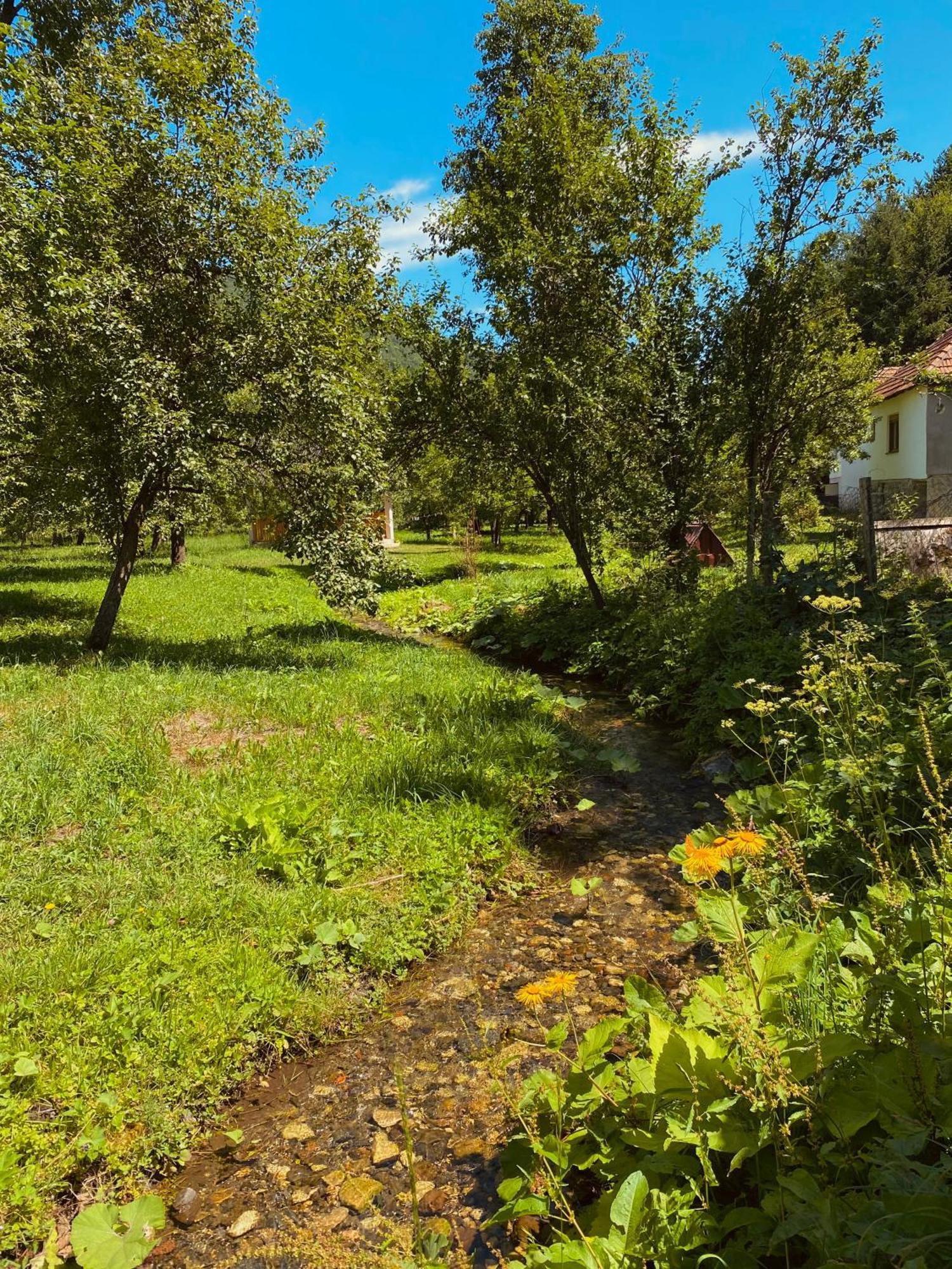 Farmstead Green Haven Mojkovac Exterior photo